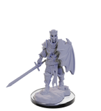 WZK90445: Plague Zombie & Skeletal Champion: Pathfinder Deep Cuts Unpainted Miniatures (W22)