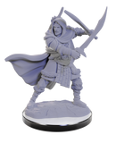 WZK90669: Human Rangers: D&D Nolzur's Marvelous Unpainted Miniatures (W22)