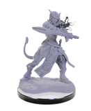 WZK90670: Tiefling Warlocks: D&D Nolzur's Marvelous Unpainted Miniatures (W22)