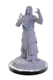 WZK90672: Elf Wizards: D&D Nolzur's Marvelous Unpainted Miniatures (W22)