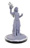 WZK90672: Elf Wizards: D&D Nolzur's Marvelous Unpainted Miniatures (W22)