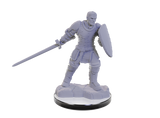 WZK90673: Reborn Paladin & Reborn Warlock: D&D Nolzur's Marvelous Unpainted Miniatures (W22)