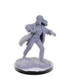 WZK90673: Reborn Paladin & Reborn Warlock: D&D Nolzur's Marvelous Unpainted Miniatures (W22)