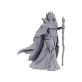 WZK90734: Limited Edition 50th Anniversary - Elves: D&D Nolzur's Marvelous Unpainted Miniatures