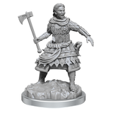 WZK90639: Human Fighters: D&D Nolzur's Marvelous Unpainted Miniatures (W21)