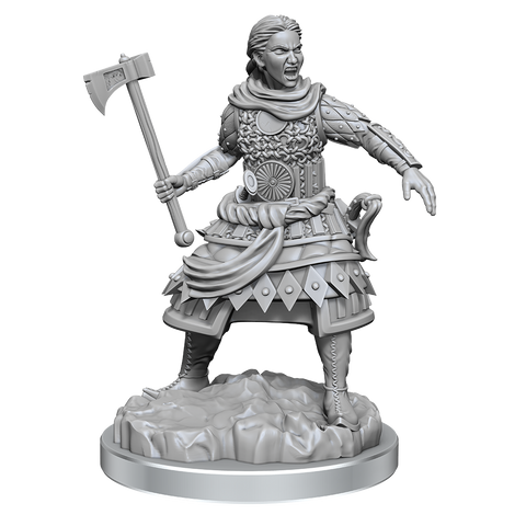 WZK90639: Human Fighters: D&D Nolzur's Marvelous Unpainted Miniatures (W21)
