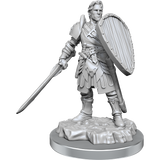 WZK90639: Human Fighters: D&D Nolzur's Marvelous Unpainted Miniatures (W21)