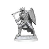 WZK90423 Death Knights: D&D Nolzur's Marvelous Unpainted Miniatures (W20)