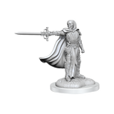 WZK90423 Death Knights: D&D Nolzur's Marvelous Unpainted Miniatures (W20)