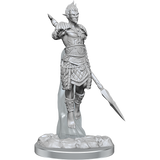 WZK90613 Sea Elf Fighters: D&D Nolzur's Marvelous Unpainted Miniatures (W20)