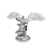 WZK90408 Aasimar Cleric Male: D&D Nolzur's Marvelous Unpainted Miniatures (W20)