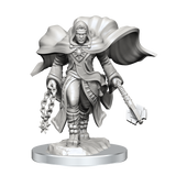 WZK90408 Aasimar Cleric Male: D&D Nolzur's Marvelous Unpainted Miniatures (W20)