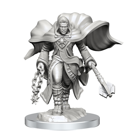 WZK90408 Aasimar Cleric Male: D&D Nolzur's Marvelous Unpainted Miniatures (W20)