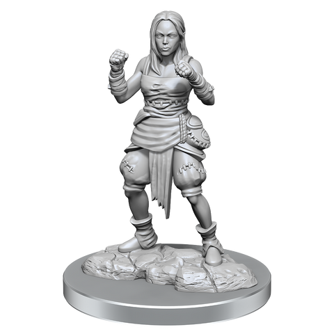 WZK90652: Half-Elf Monk Female: Pathfinder Deep Cuts Unpainted Miniatures (W21)