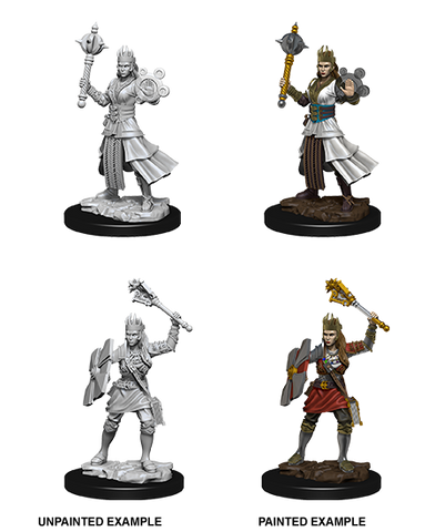 WZK73671: Female Human Cleric: D&D Nolzur's Marvelous Unpainted Miniatures