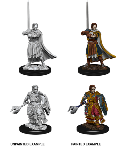 WZK73672: Male Human Cleric: D&D Nolzur's Marvelous Unpainted Miniatures