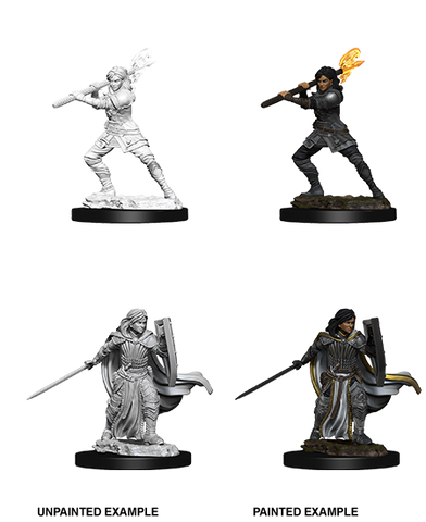 WZK73830: Female Human Paladin: D&D Nolzur's Marvelous Unpainted Miniatures (W10)