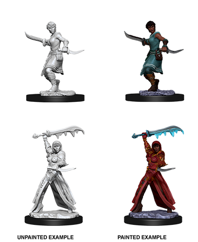 WZK73831: Female Human Rogue: D&D Nolzur's Marvelous Unpainted Miniatures (W10)