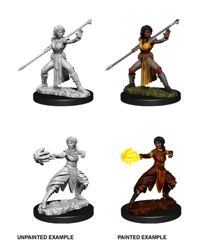 WZK73839: Female Half-Elf Monk: D&D Nolzur's Marvelous Unpainted Miniatures (W10)