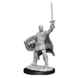 WZK90136 Human Paladin Male: D&D Nolzur's Marvelous Unpainted Miniatures (W13)