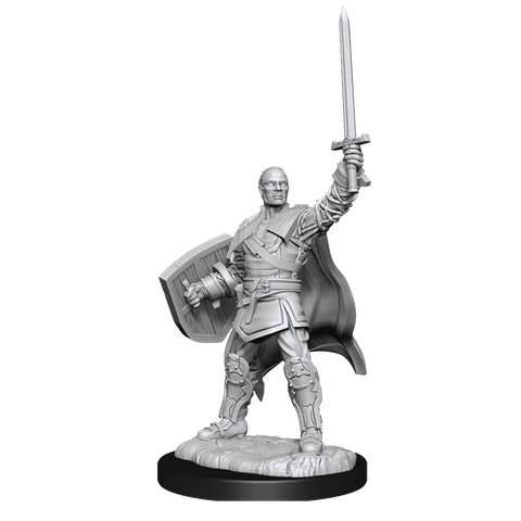 WZK90136 Human Paladin Male: D&D Nolzur's Marvelous Unpainted Miniatures (W13)