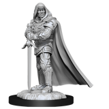 WZK90136 Human Paladin Male: D&D Nolzur's Marvelous Unpainted Miniatures (W13)