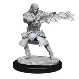 WZK90140 Elf Wizard Male: D&D Nolzur's Marvelous Unpainted Miniatures (W13)
