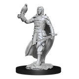 WZK90141 Elf Ranger Male: D&D Nolzur's Marvelous Unpainted Miniatures (W13)