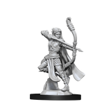 WZK90143 Elf Ranger Female: D&D Nolzur's Marvelous Unpainted Miniatures (W13)