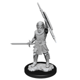 WZK90144 Human Fighter Male: D&D Nolzur's Marvelous Unpainted Miniatures (W13)