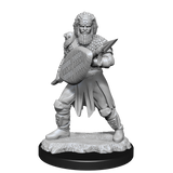 WZK90144 Human Fighter Male: D&D Nolzur's Marvelous Unpainted Miniatures (W13)