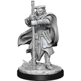 WZK90159 Hobgoblin Devastator & Hobgoblin Iron Shadow: D&D Nolzur's Marvelous Miniatures (W13)