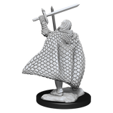 WZK90169 Elf Fighter Male: Pathfinder Battles Deepcuts Unpainted Miniatures (W13)