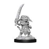 WZK90172 Goblin Fighter Male: Pathfinder Battles Deepcuts Unpainted Miniatures (W13)