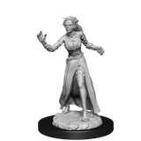WZK90179 Vampire Lacerator & Vampire Hexmage: Magic the Gathering Unpainted Miniatures (W13)