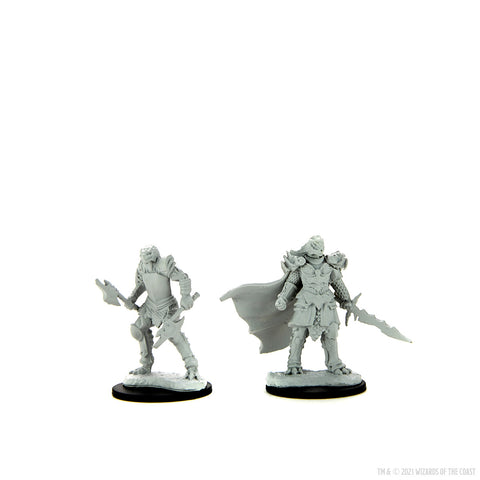 WZK90302: Dragonborn Fighter Female: D&D Nolzur's Marvelous Unpainted Miniatures (W15)