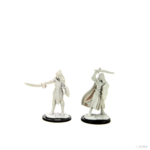 WZK90264: Human Champion Female: Pathfinder Battles Deepcuts Unpainted Miniatures (W14)