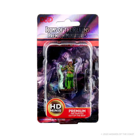 WZK93009: D&D Icons of the Realms Premium Figures: Human Female Druid