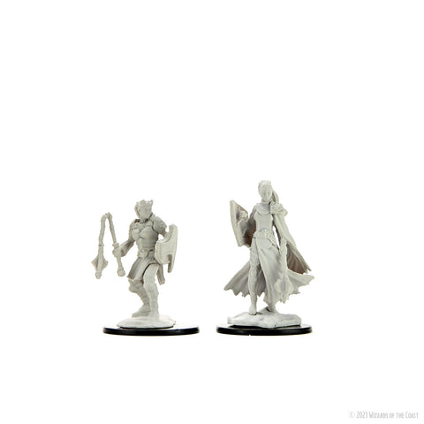 WZK90233: Kalashtar Cleric Female: D&D Nolzur's Marvelous Unpainted Miniatures (W14)