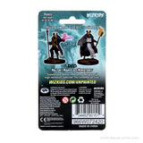 WZK90151 Multiclass Cleric+Wizard Male: D&D Nolzur's Marvelous Unpainted Miniatures (W13)