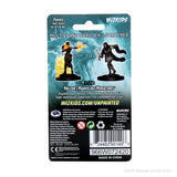WZK90149 Multiclass Warlock+Sorcerer Female: D&D Nolzur's Marvelous Unpainted Miniatures (W13)