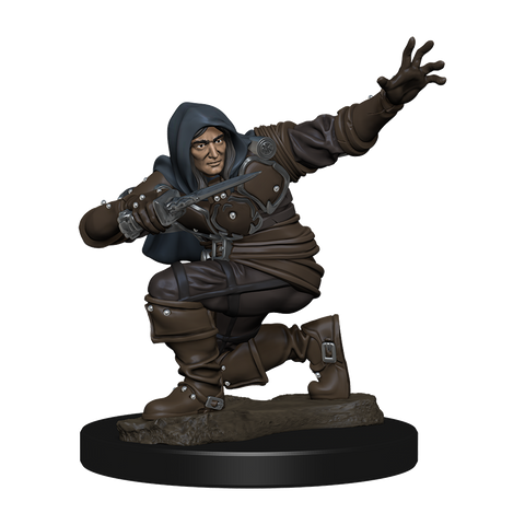 WZK77500: Human Rogue Male: Pathfinder Battles Premium Painted Figure (W1)