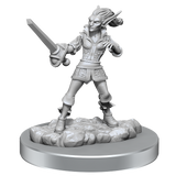 WZK90587 Quicklings: D&D Nolzur's Marvelous Unpainted Miniatures (W19)
