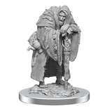 WZK90586 Wereravens: D&D Nolzur's Marvelous Unpainted Miniatures (W19)