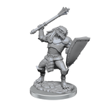 WZK90522 Dragonborn Clerics: D&D Nolzur's Marvelous Unpainted Miniatures (W18)