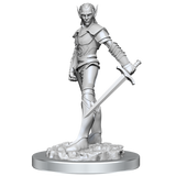 WZK90525 Drow Fighters: D&D Nolzur's Marvelous Unpainted Miniatures (W18)