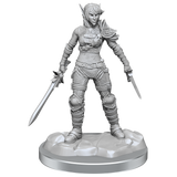 WZK90582 Elf Rogue & Half-Elf Rogue Protégé: D&D Nolzur's Marvelous Unpainted Miniatures (W19)