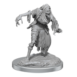 WZK90588 Nosferatu: D&D Nolzur's Marvelous Unpainted Miniatures (W19)