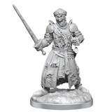 WZK90591 Dead Warlord: WizKids Deep Cuts Unpainted Miniatures (W19)