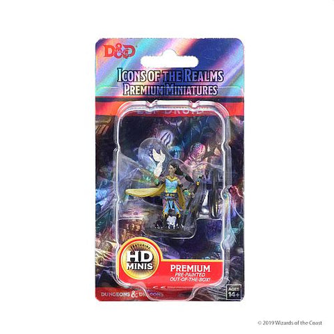 WZK93003 Elf Female Druid D&D Icons of the Realms Premium Figures (WZK73821)